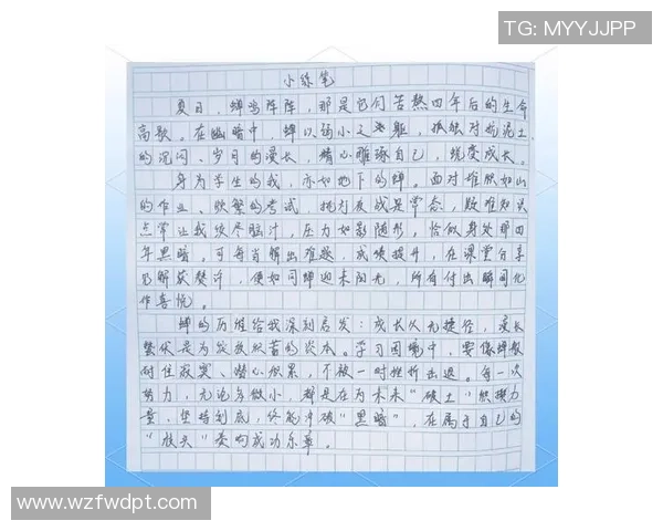 对话张娜：回顾乒乓球生涯的辉煌与挑战之路